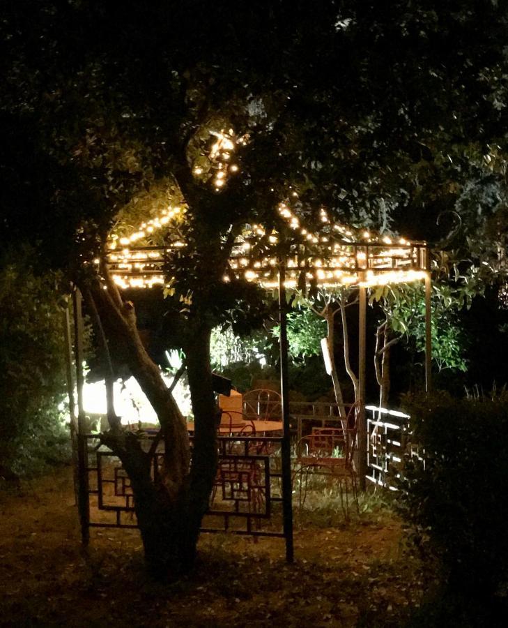 La Cactee Singuliere Bed & Breakfast Béziers Exterior foto