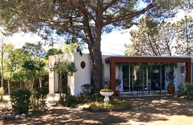 La Cactee Singuliere Bed & Breakfast Béziers Exterior foto